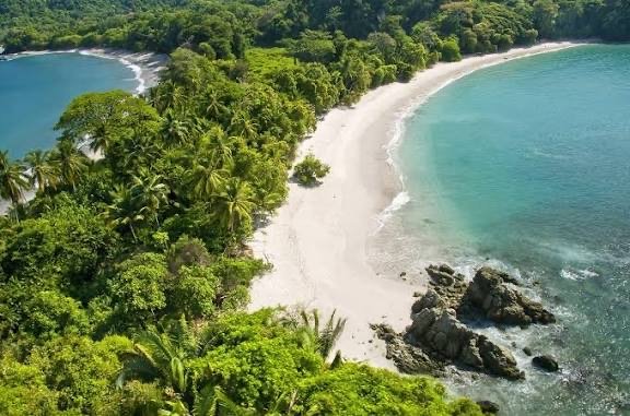 Playa rodeada de vegetación tropical